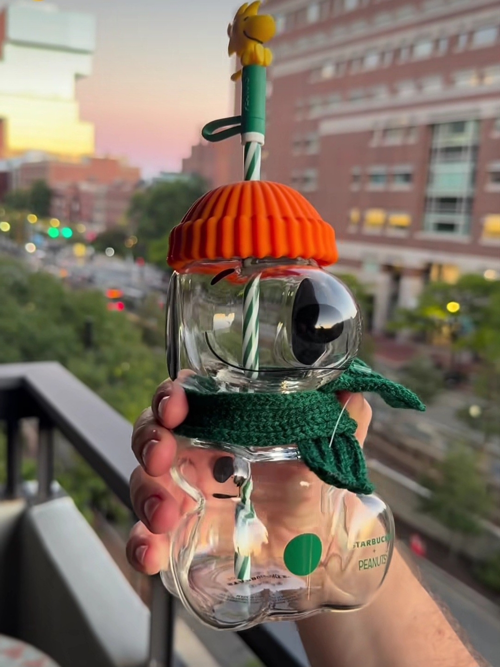 ⭐ SNOOPY GLASS CUP (SCARF + WOODSTOCK TOPPER) — ListingPrice: $250